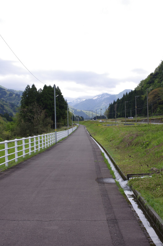 白山市