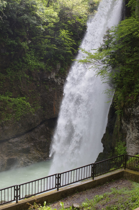 白山市
