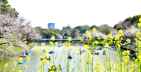 観光・レジャー 東京都 千代田区