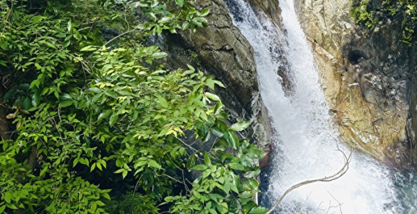 観光・レジャー 兵庫県 布引の滝