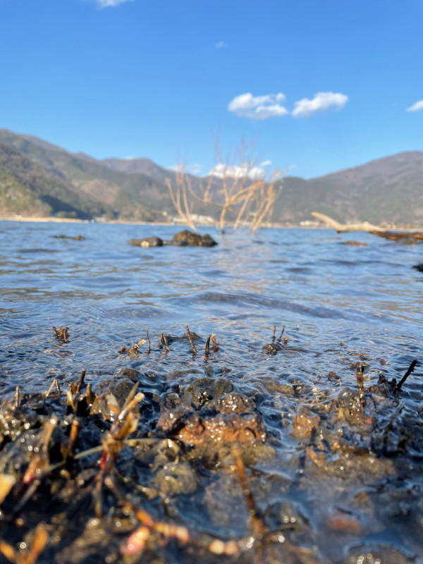富士河口湖町
