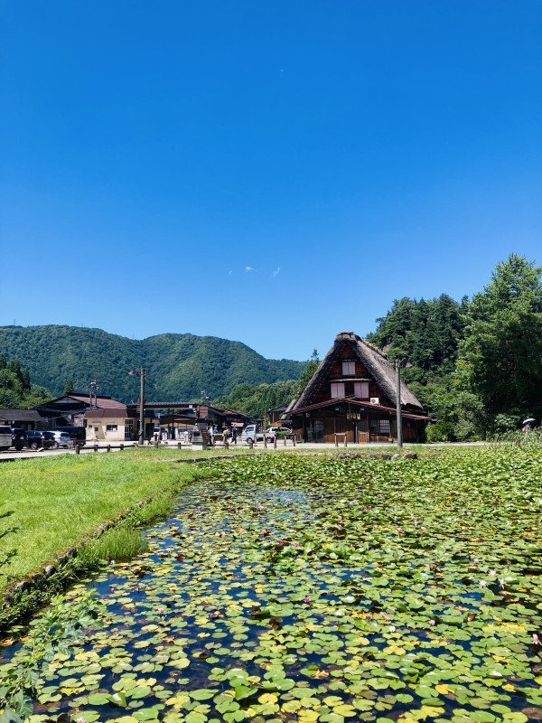 白川村