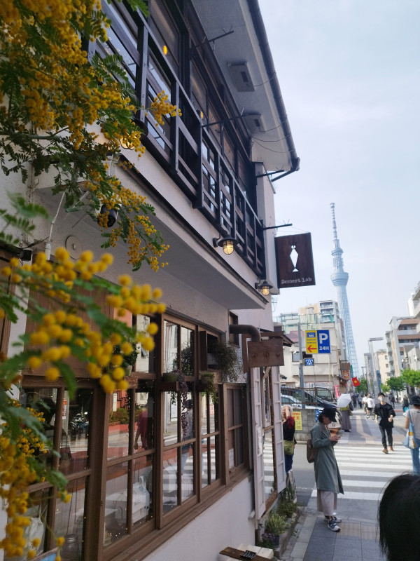墨田区