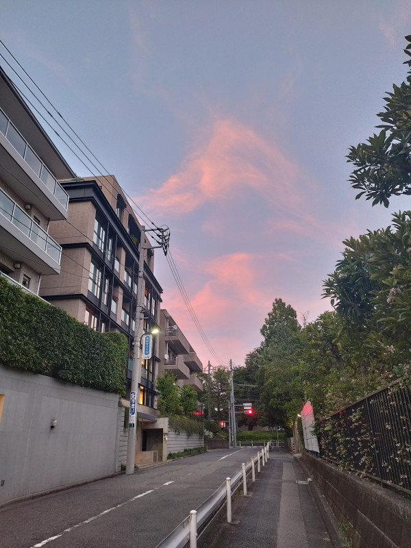 港区