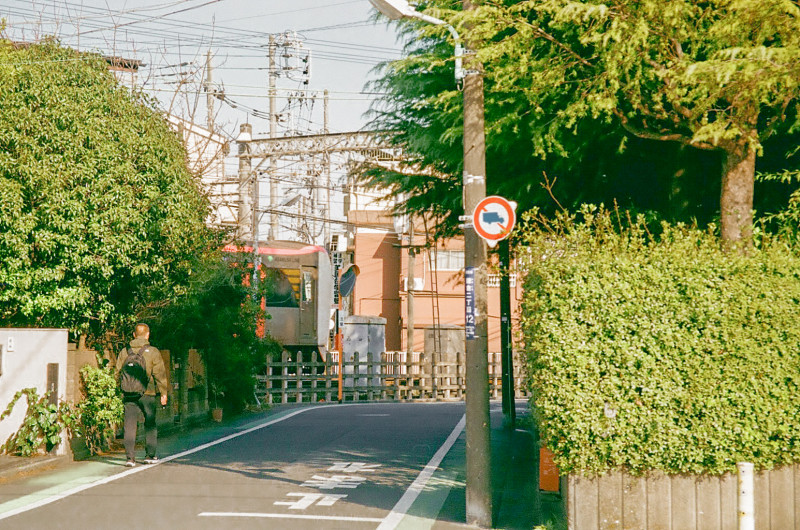 葛飾区