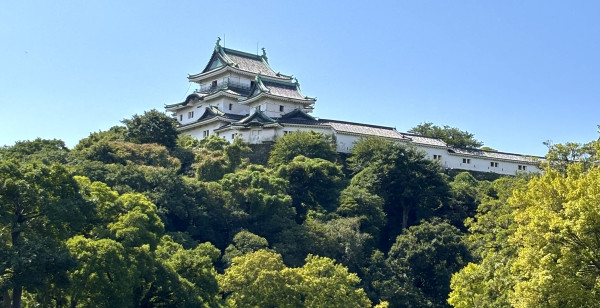 観光・レジャー 和歌山県 和歌山城