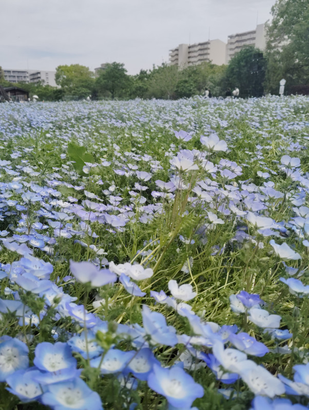 大阪市