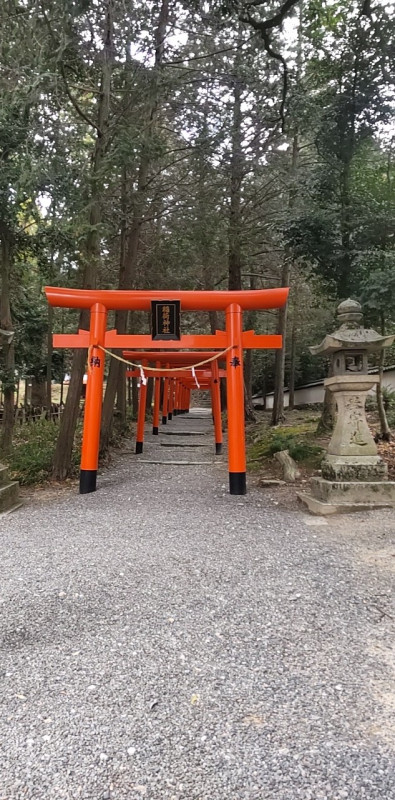 岡山市
