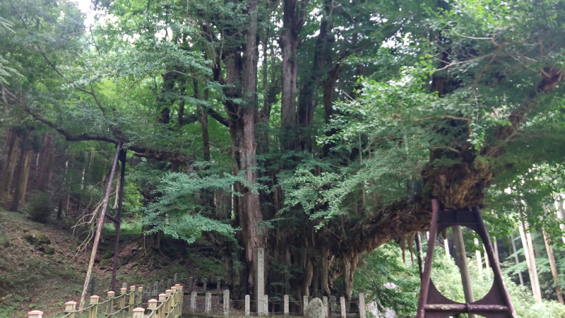 奈義町