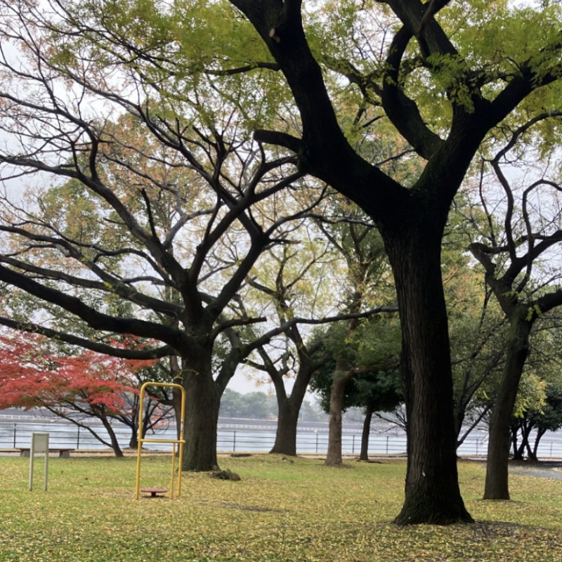 堺市