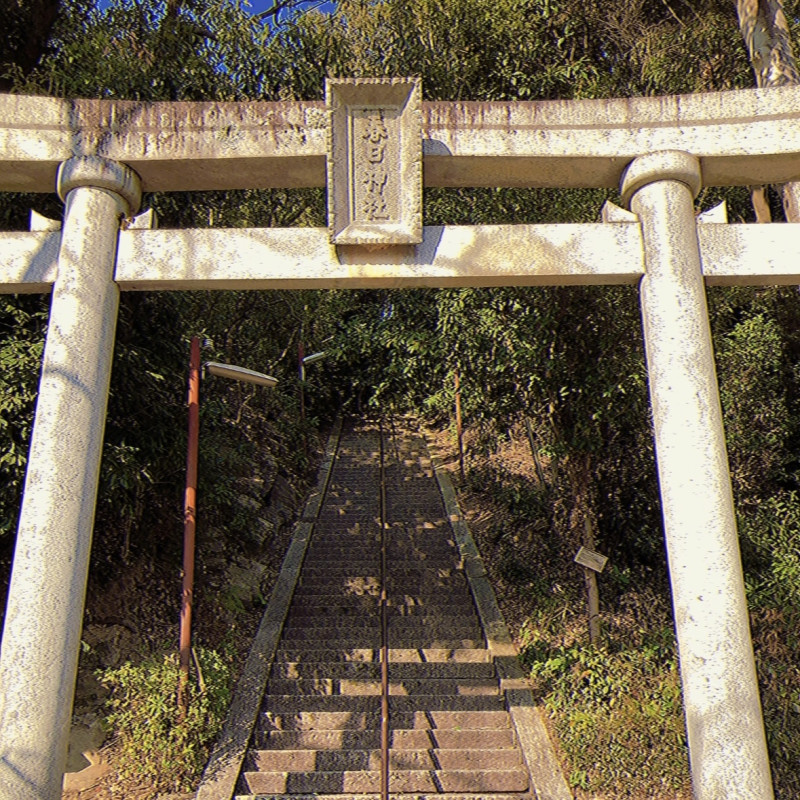 和歌山市