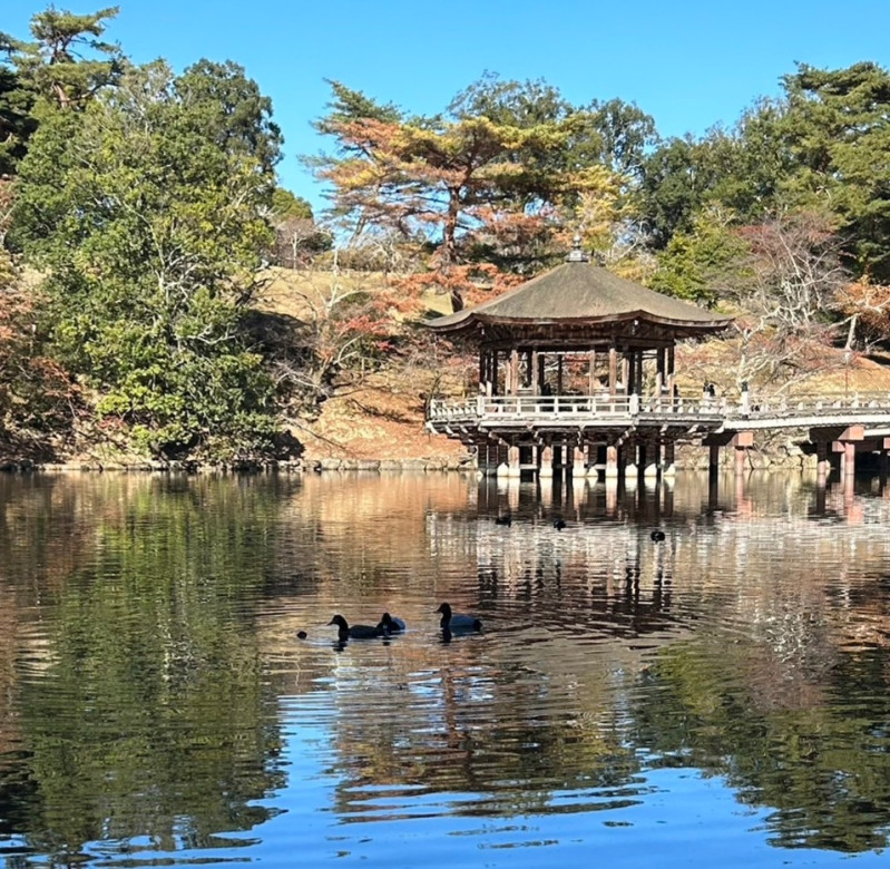奈良市