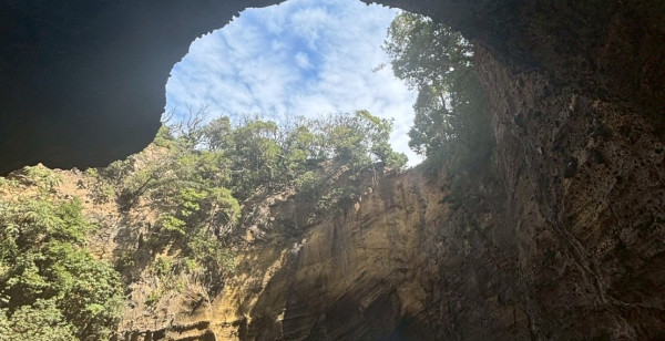 観光・レジャー 静岡県 竜宮窟