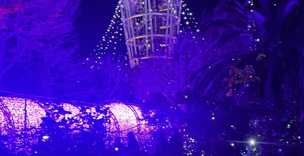 観光・レジャー 神奈川県 江ノ島