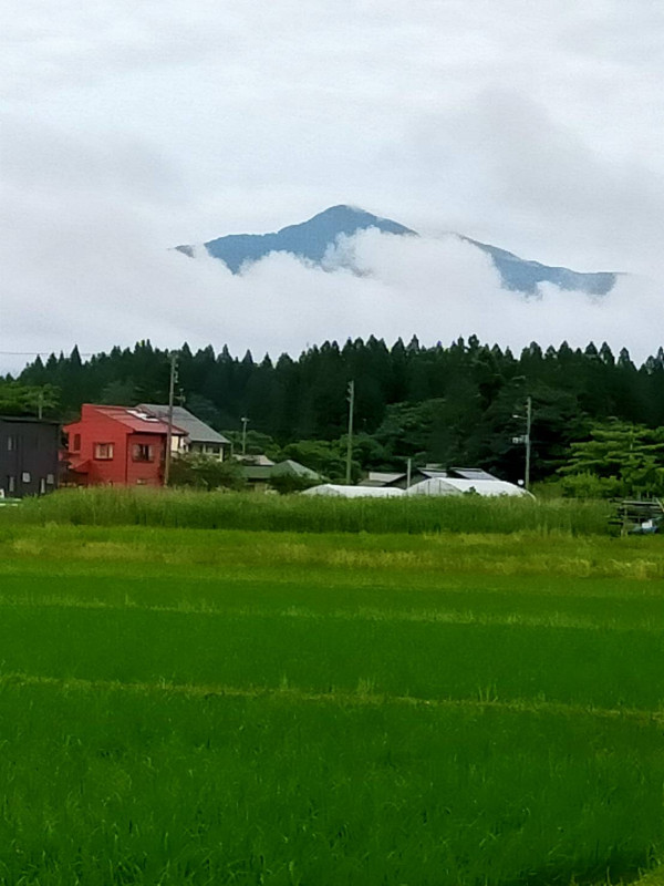 秋田市