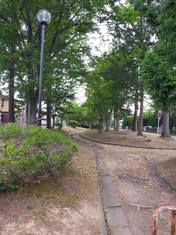 秋田市