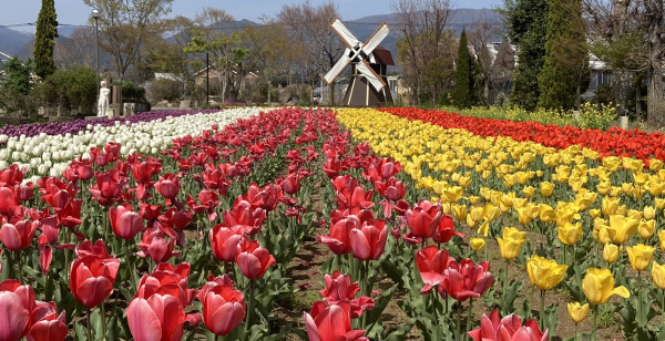 山梨市・勝沼・塩山