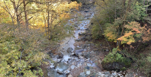 観光・レジャー 栃木県 雄飛の滝