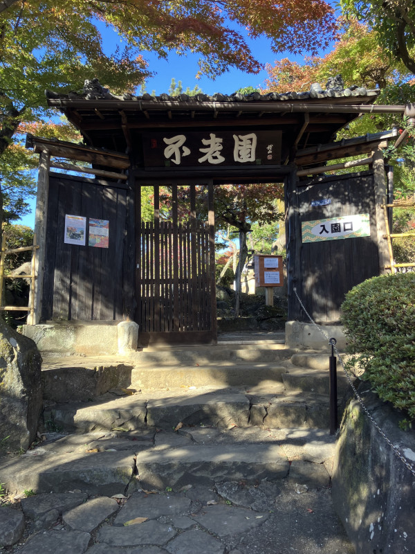 甲府市