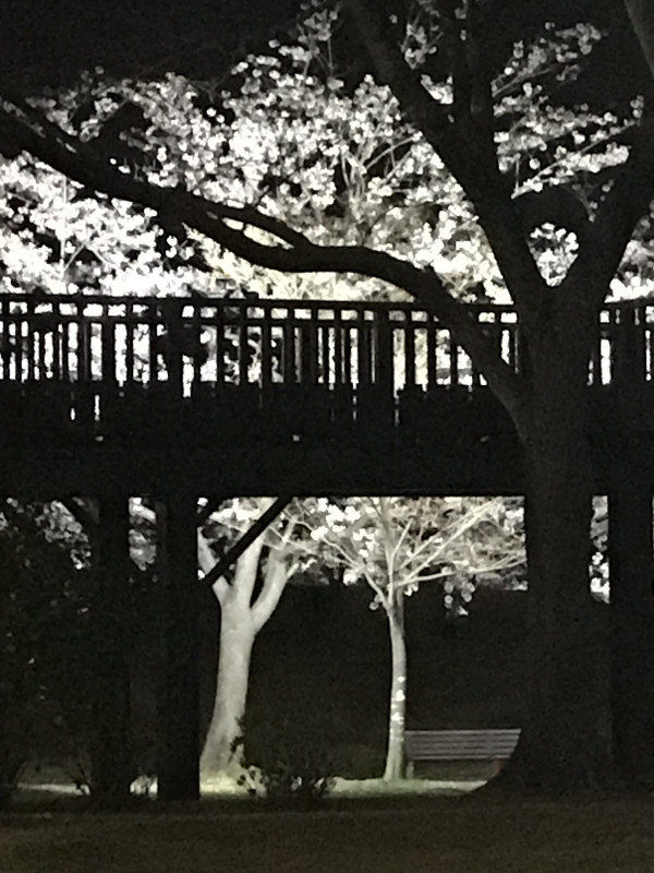 甲斐市