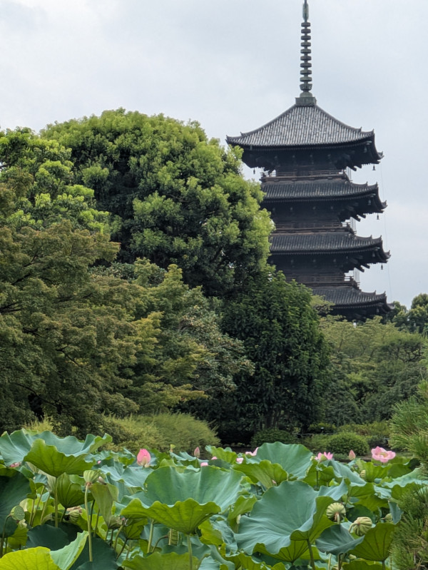 京都市