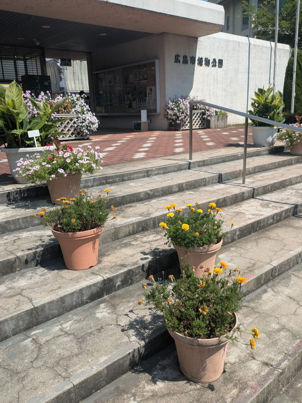 広島市