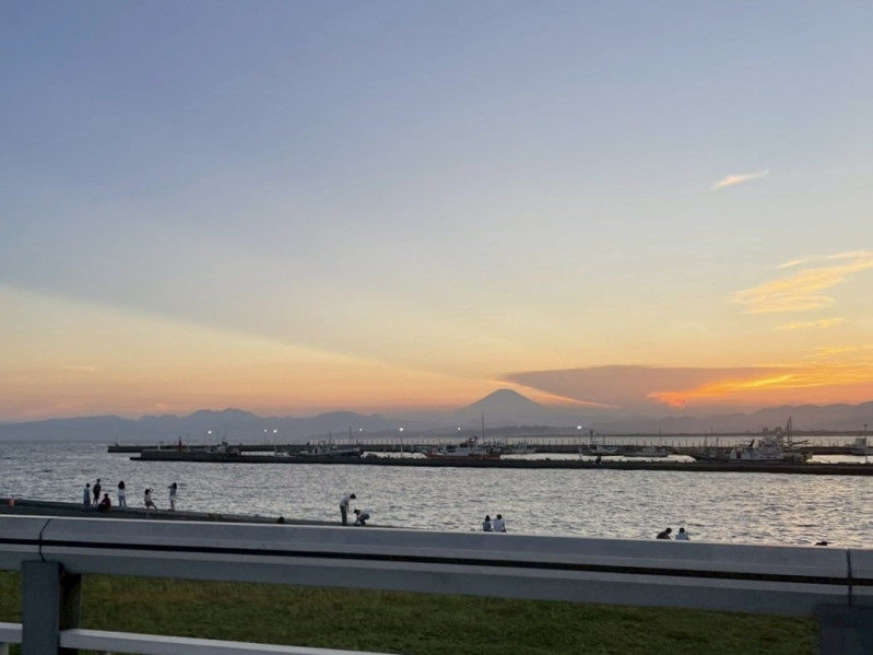 藤沢市