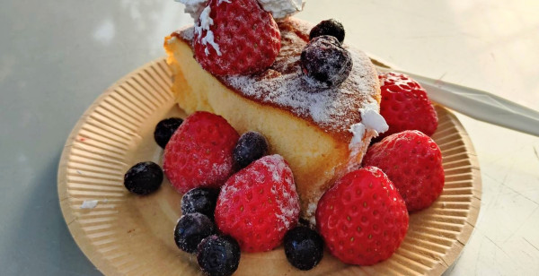 高知市・南国・香南