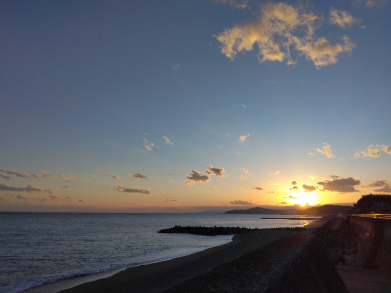 高知市