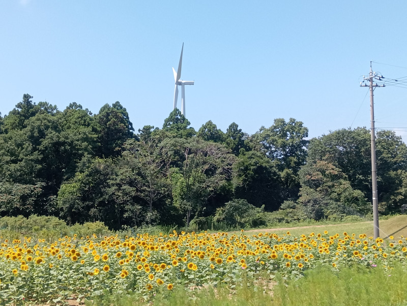 あわら市