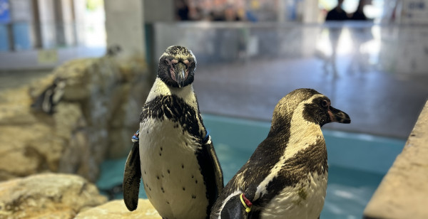 観光・レジャー 長崎県 長崎市