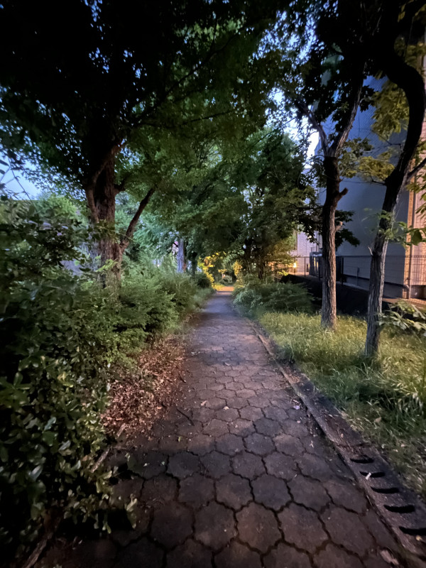 川崎市