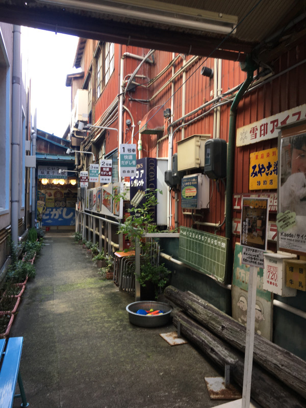 新潟市