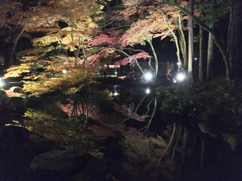 新潟市
